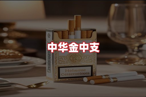 中华金中支